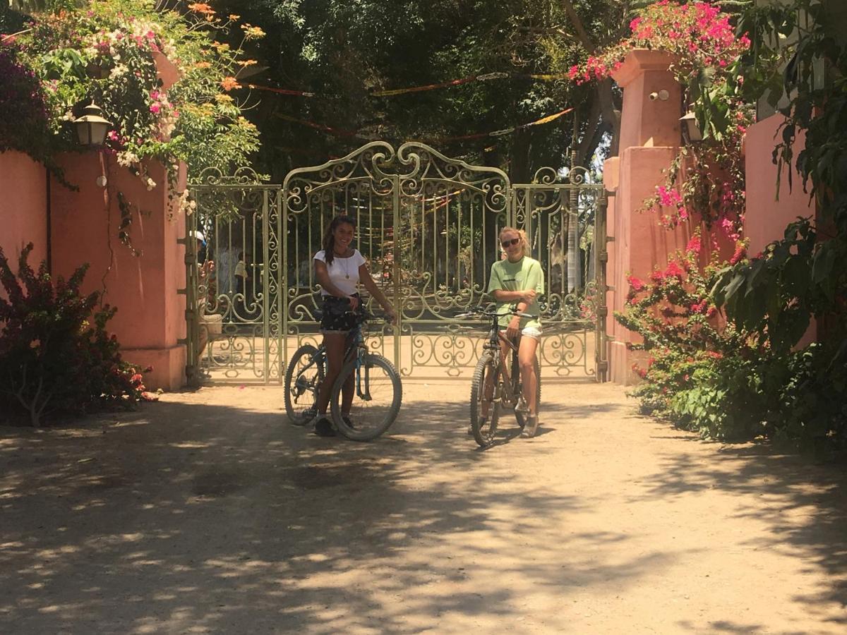 Ica Adventures Bed & Breakfast Dış mekan fotoğraf